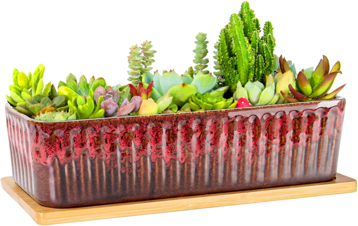 Succulent Pots - 12 Inch Large Succulent Planters with Drainage Tray, Window Sill Planter, Long Rectangle Ceramic Pots for Indoor Cactus Plants Shallow Bonsai Window Box for Home Garden Decor