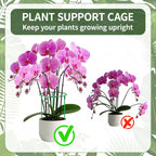 Moiggonoy 12 Pack Plant Support Stakes Sets - Versatile Plant Cages, Stackable Garden Flower Support， Small Plant Stakes for Indoor Plants,Tomato,Monstera, Peony, Hydrangea, Climbing Plants