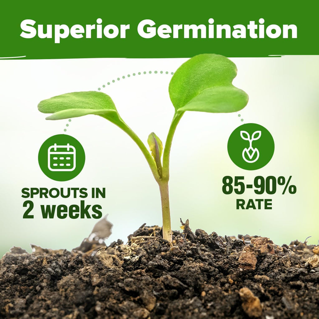 HOME GROWN 15 Herb Seeds for Planting 4,500+ Non-GMO Heirloom Seeds | Extra Large Variety Pack Herb Kit – Indoor Outdoor & Hydroponic | Culinary Seed Set | Grow Your Own Herbs | Gardening Gift