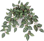 Briful Artificial Plants Indoor Fake Potted Silk Plants Faux Watermelon Peperomia Draping Plant for Home Office Bathroom Shelf Cabinet Tabletop Decoration(Purple)