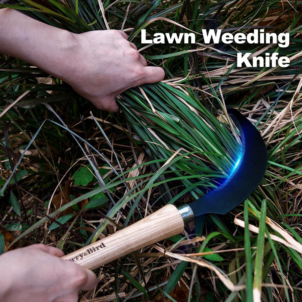 Berry&Bird Grass Sickle with Sawtooth, Heavy Duty SK5 Carbon Steel Blade Sickle Knife Scythe Garden Tool, Brush Clearing Sickle Weeding & Harvesting Tool for Gardeners/Farmers - Ashwood Handle