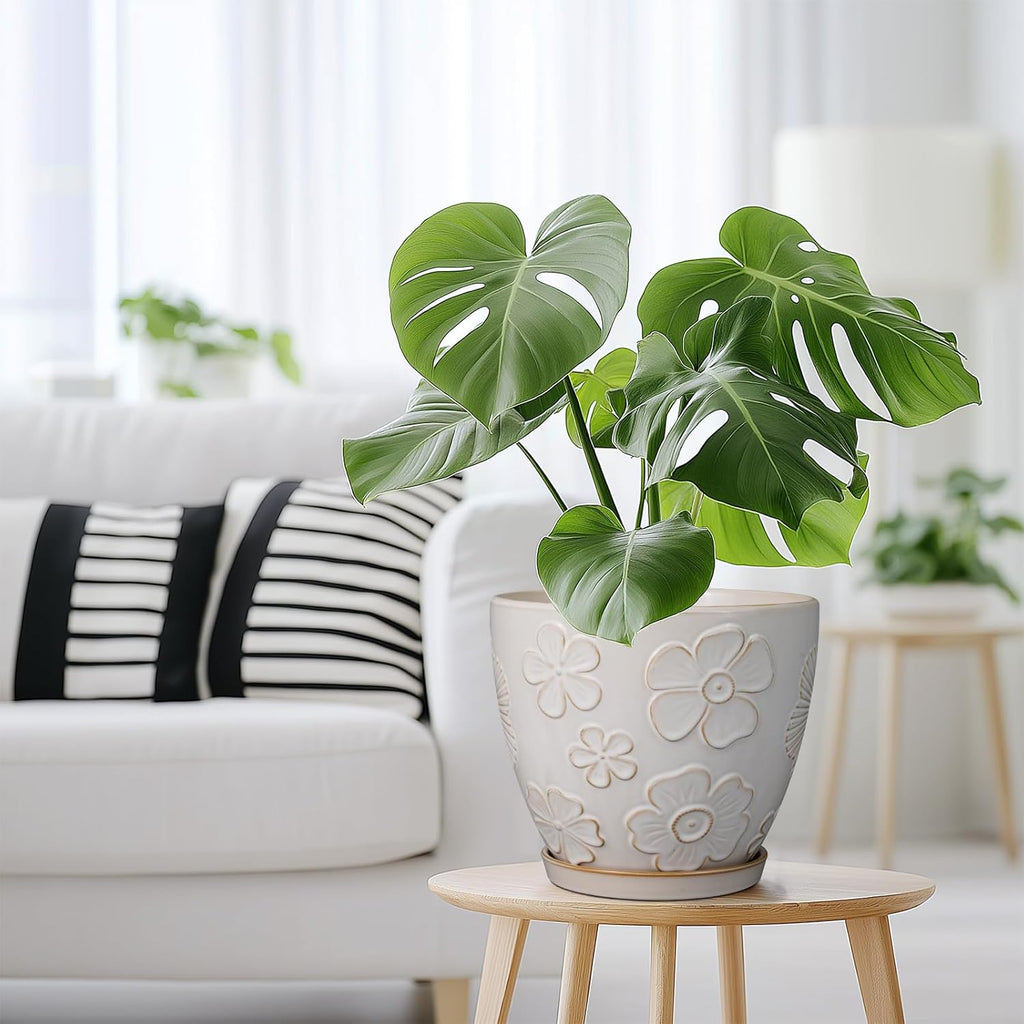 Ceramic Planter 8 Inch Plant Pot with Drainage Hole and Saucer Ceramic Pots for Indoor Plants Outdoor Large Flower Pot for Home Decor White