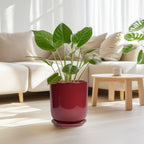 Ceramic Planter for Plants - 10 Inch Plant Pot Indoor with Drainage Hole and Saucer Modern Large Outdoor Planter Flower Pot for Home Decor Red