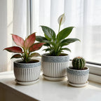 FOLKLORE13 Vintage Flower Pots for Indoor Plant, Round Ceramic Plant Pots with Drainage Holes and Saucers, 6.7/5.2/3.9 Inches Retro Flower Planters Set of 3