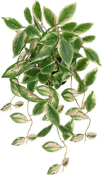 DILATATA Fake Plants Artificial Potted Plants 20 Inch Faux Peperomia Ivy Vine Plant Hanging Plant for Home Office Desk Shelf Indoor Outdoor Decor
