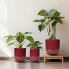 Ceramic Pot for Plants - 8 Inch Plant Pot Indoor with Drainage Hole and Saucer Cylinder Flower Pot for Indoor Outdoor Plants Home Patio Office Decor Red