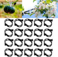 Plant Support Clips - Reusable Garden and Secured Plastic Clips for Tomato Support, String Trellis, Climbing Plants, Outdoor Indoor Flowers, Stem and Vine Fixing (300, Black)