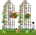 Amagabeli 2 Pack 71” x 21” Tall Garden Trellis for Climbing Plants Outdoor Heavy Climbing Plant Rose Trellis Wrought Iron Ivy Vine Cucumbers Decorative Metal Trellis Brown