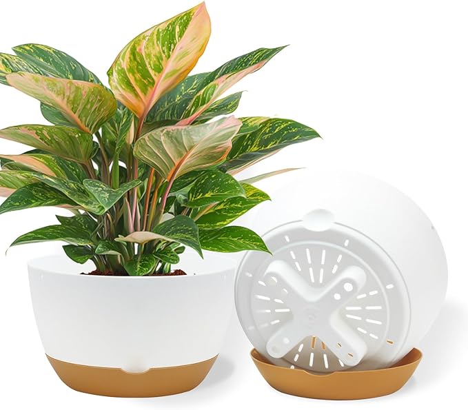 10 Inch Pots for Indoor Plants, Large Self Watering Planters with Drainage and Saucers, Plastic Outdoor Flower Pot, Set of 2, White