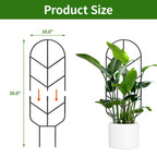 2 Pack 30'' Large Metal Plant Trellis for Climbing Plants, Tall Plant Support for Indoor & Outdoor Use, Modern Decorative Trellis for Potted Plants (2 Pack)