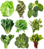 Greens Seeds Collection, 2500+ Seeds, 9 Heirloom Varieties, Arugula, Beet, Upland Cress, Vates Collard, Red Russian Kale, Crisphead Lettuce, Parris Island Lettuce, Tatsoi Mustard, Viroflay Spinach
