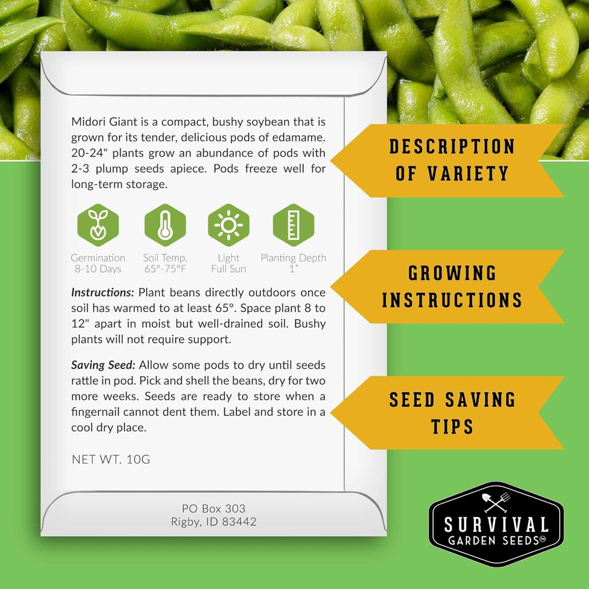Midori Giant Soybean Seeds for Planting - Grow Protein-Rich Edamame Pods in Your Home Vegetable Garden - Non-GMO Heirloom Soy Bean - Survival Garden Seeds (1 Pack)