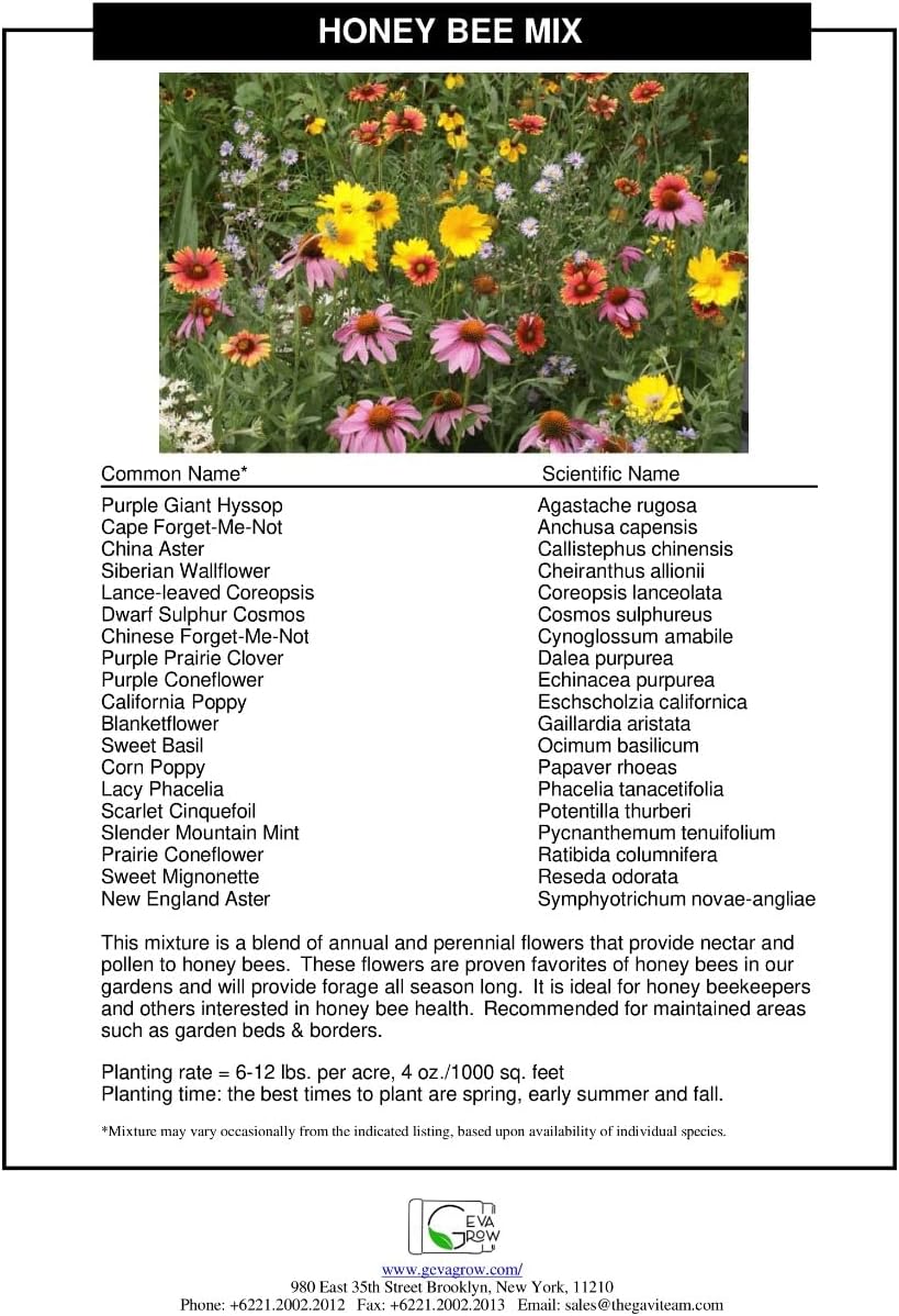 Bulk Wildflower Seed Mix – Honey Bee Wildflower Seed Mix 1 Pound Tub by GevaGrow | Bulk 300,000+ Seed Tub | 19 Variety Flower Seeds for Planting in Pots & Outdoor Gardens | No Messy Bags or Packets |