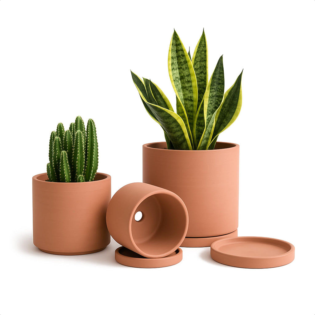 D'vine Dev 3-Pack Classic Terracotta Pots & Saucers, 4/5/6 in, 40-T-A-0