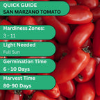 Woods Creek Seeds: San Marzano Tomato Seeds for Planting - Heirloom Tomato Seeds for Planting Outdoors, Indoors, Patio or Home Plant Garden - Non-GMO Seed Pack of Tomatoes for Italian Paste Variety