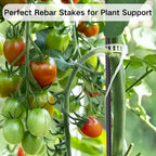 Straight Rebar Stakes 16 Inch 34 Pack Garden Spikes with Chisel Point End Metal Stakes for Ground Heavy Duty 3/8 Inch Thickness Tree Stake Kit for Concrete, Landscape Timber (Black)
