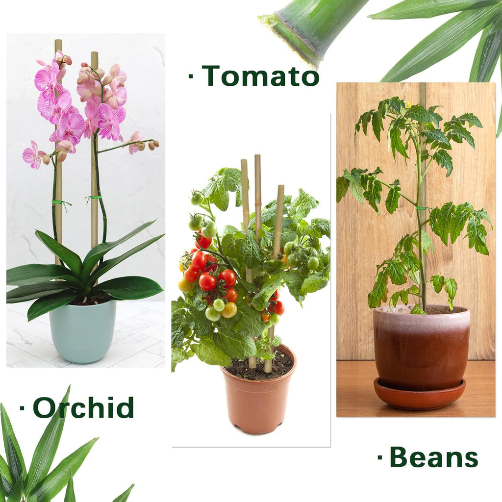 Plant Stakes,16 Inches Natural Garden Bamboo Sticks,BOVITRO 20Pcs Plant Support Stakes for Tomatoes,Beans,Vegetable and Potted Plants