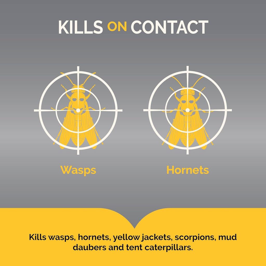 Hot Shot Wasp & Hornet Killer, Aerosol, 14-Ounce, 12-Pack Black