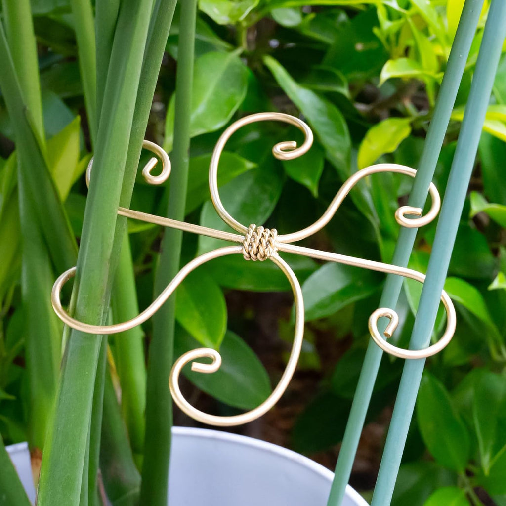 6.5IN Monstera Plant Support Hook 5PCS Durable Stem Stabilizer for Indoor Plants | Easy Setup 5-Piece Set Ideal for Turtle Shell Leaf Support Ideal Present for Plant Lovers & Home Garden Décor