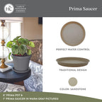 The HC Companies Round Prima Flower Pot Saucers - Plastic Plant Saucer for Outdoors & Indoors - Traditional Plant Pot Trays for Water Drainage -Durable Plant Tray (10.5-inch Sandstone, Pack of 1)