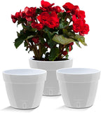 Santino ASTI 7.1 Inch Self Watering Planters Grey/White (Set of 3) for Indoor Plants - Premium Quality Modern Plastic Pot w/Water Level Indicator for All House Plants, African Violets and Dahlias
