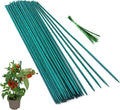 50 Pcs Plant Sticks Green Plant Stakes, Plant Support Garden Stakes for Indoor and Outdoor Plants, GAGINANG Sturdy Garden Wood Bamboo Sticks, Floral Plant Stakes for Garden Potted Plants（18 Inches）