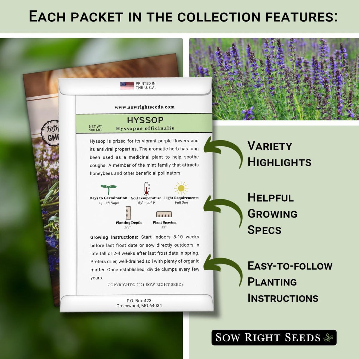 Sow Right Seeds - Large Herbal Tea Garden Seed Collection for Planting - Lemon Balm, Mint, Chamomile, Lavender, Echinacea, Borage, Hyssop, Calendula, and Holy Basil Tulsi - Non-GMO Heirloom to Grow