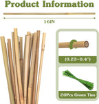Plant Stakes 16inch, 20Pcs Natural Bamboo Sticks Garden Stakes, HAINANSTRY Plant Support Stakes for Indoor & Outdoor Plants, Orchid Tomato Vegetable Stakes for Garden