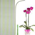 uxcell 30pcs Green Plant Support Stakes, 11.8" Bendable Garden Plant Sticks Plastic Single Stem Plants Support Stakes with Ties for Potted Plants Flowers Orchid Peony, Green