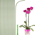 uxcell 30pcs Green Plant Support Stakes, 11.8" Bendable Garden Plant Sticks Plastic Single Stem Plants Support Stakes with Ties for Potted Plants Flowers Orchid Peony, Green