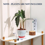 Selamica Ceramic Plant Pots, 5.6 Inch Flower Pots for Indoor Plants, Planters with Drainage Hole and Saucer, Garden Pots for Succulent, Orchid, Home Decor, Set of 4, Assorted Colors