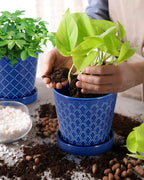 EFISPSS Ceramic Plant Pots, 5Inch Pots for Indoor Plants, Planters with Drainage Holes and Ceramic Tray,Plant Lover Gift, Desktop Office Windowsill Decoration Gift Set of 4 - Blue