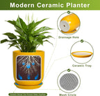 Ceramic Pot for Plants - 10 Inch Plant Pot Indoor with Drainage Hole and Saucer Large Planter for Outdoor Plants Cylinder Decorative Flower Pot Yellow