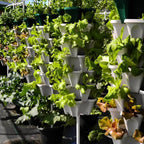 Vertical Garden Planter 4 Tier Stackable System 16 Plants, Space Saving Herb, Strawberry & Food Crop Planter with Center Support Hole for Indoor Outdoor Gardening (4, Stone, Small)
