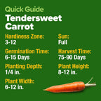 HOME GROWN Tendersweet Carrots Seeds 2 Pack - 6000 Non-GMO Heirloom Carrot Seeds for Planting Outdoors - High- (Daucus carota subsp. sativus)