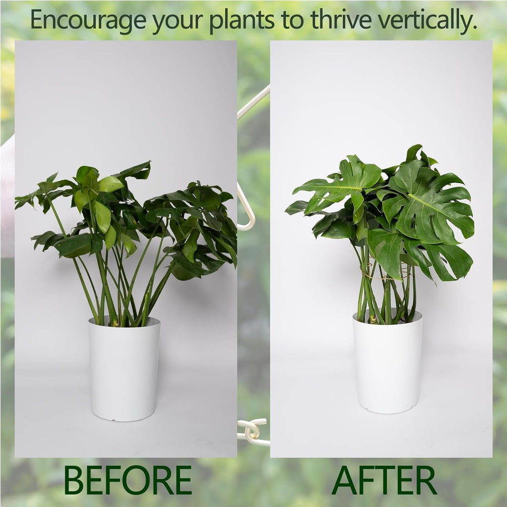 5PCS Durable Monstera Plant Stem Support Stake with Adjustable Leaf Holders - Plant Support Kit for Indoor Botanicals, Cactus Stabilizers, and Turtle Shell Climbers - Ideal for Plant Enthusiasts