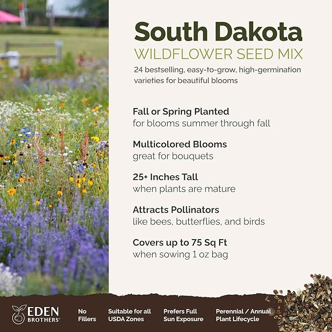 Eden Brothers South Dakota Wildflower Mixed Seeds for Planting, 1 oz, 30,000+ Seeds with Sweet Alyssum, Toadflax | Attracts Pollinators, Plant in Spring or Fall, Zones