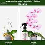 Premium Orchid Plant Food Mist – Orchid Fertilizer Spray – Orchid Food Fertilizer for Blooming – Orchid Plant Care Formula 3-1-2 – Ready-to-Use (8 OZ)