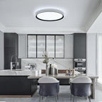 Dimmable Metal LED Ceiling Lights Fixtures,Slim, Edge Lit - 20" Full Spectrum Smart Round Ceiling Lamps,3000-6500K Modern Ultra Thin Low Profile Light Fixture for Bedroom & Living Room (Black,45W)