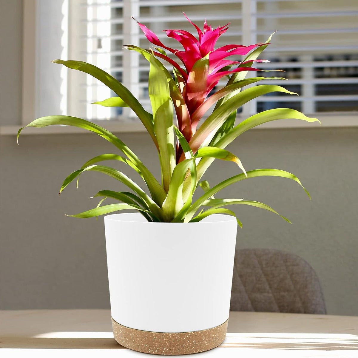 QCQHDU 6.5 inch Plant Pot, 2 Pack Planters for Indoor Plants with Drainage Holes & Saucer, Outdoor Flower Pots Home Garden Modern Decor