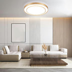 20 inch Flush Mount Ceiling Light Fixture LED 36W, Gold Dimmable Fixture Ceiling Mount Overhead, Modern Close to Ceiling Light 5CCT for Living Room,Kitchen, Bedroom
