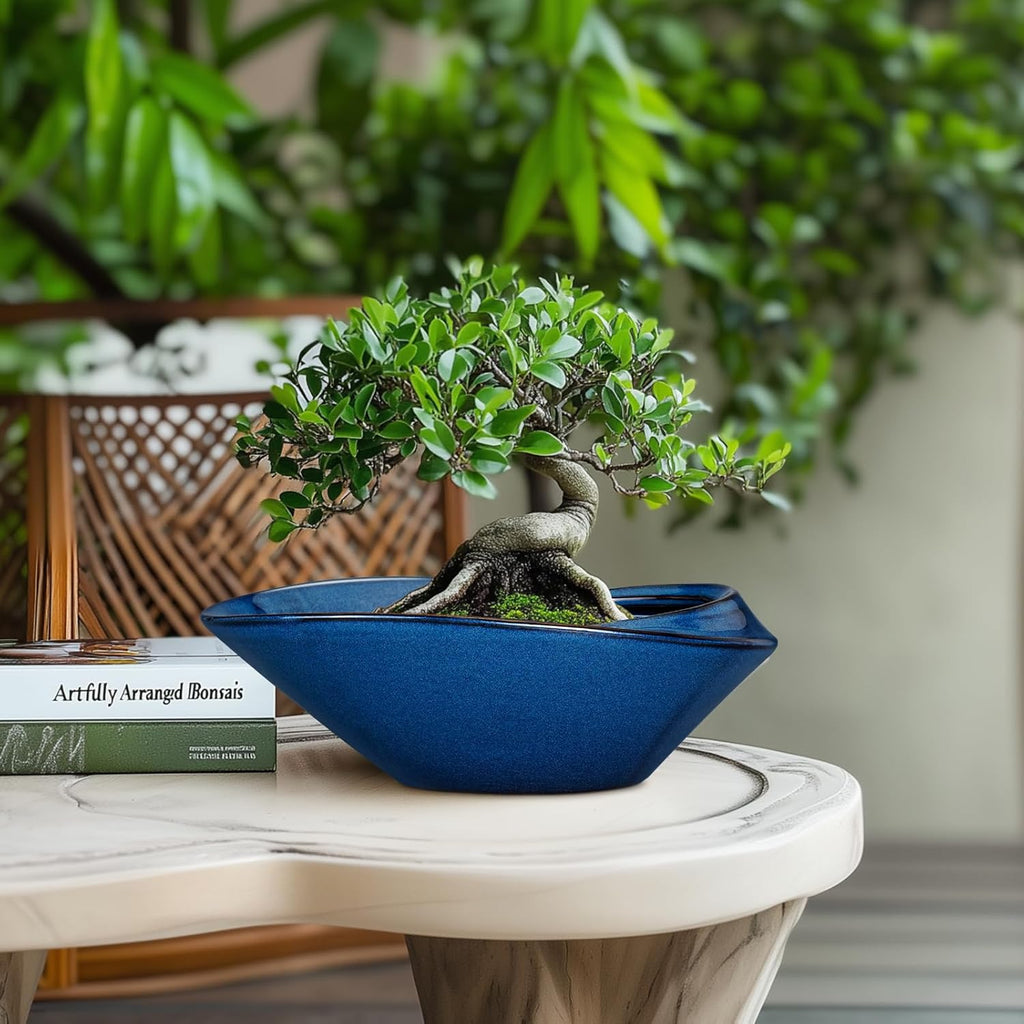 Bonsai Tree Pot - Ceramic Planter Pot with Drainage Hole 12 Inch Bonsai Pots Decorative Orchid Succulent Plant Pots for Indoor Outdoor Plants Blue