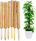 Pack of 6 Coco Coir Pole- Plants Monstera 24" Sized Poles for Climbing Plants, Plant Support Stakes for Indoor/Outdoor Potted Plants