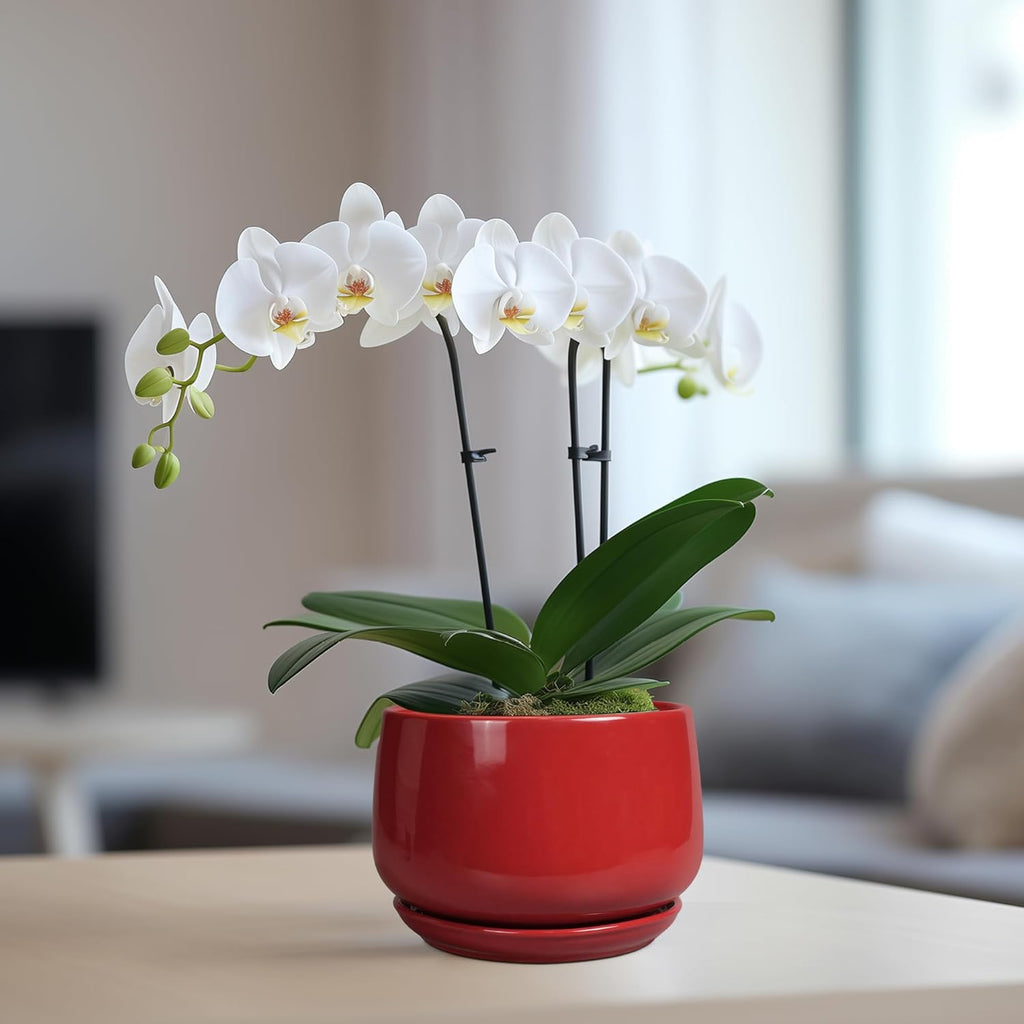 G EPGardening Ceramic Pot for Plants - 6 Inch Plant Pot with Drainage and Ceramic Tray, Modern Living Room Decor, Planter for Housewarming Gifts New Home, Red