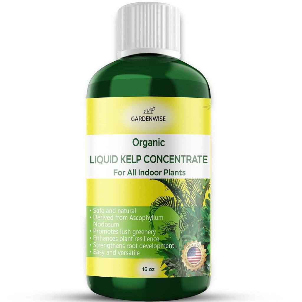 Organic Premium Kelp Seaweed Fertilizer - Liquid Hydroponics Fertilizer - Liquid Plant Food - Nutrient-Rich Soil Enhancer - Natural Plant Food for All Indoor Plants (16 oz)