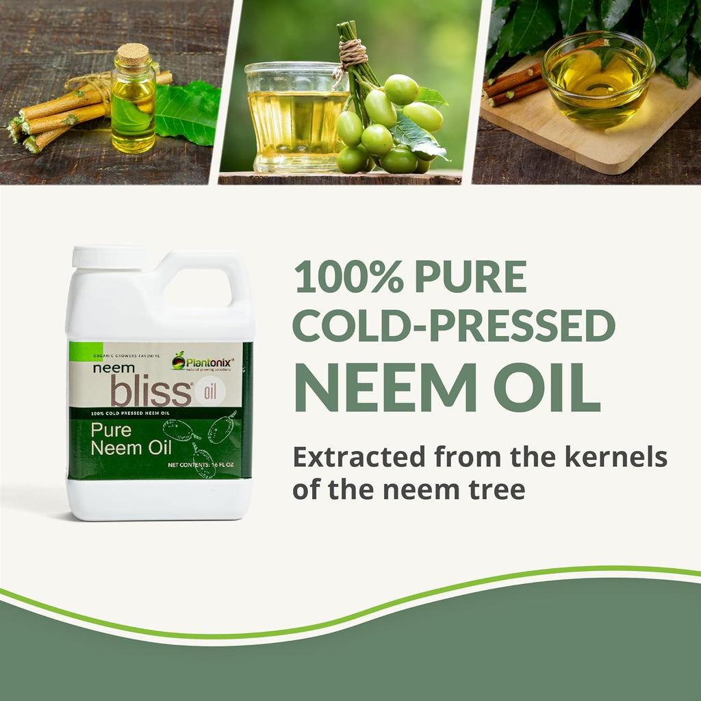 Neem Bliss (64 Fl Oz) - Pure Neem Oil Concentrate - 100% Cold Pressed Neem Oil - All-Natural Neem Oil Concentrate - Pure Neem Oil Extract - Unrefined Neem Oil for Hair - Neem Seed Oil Concentrate