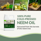 Neem Bliss (1 Gallon) - Pure Neem Oil Concentrate - 100% Cold Pressed Neem Oil - All-Natural Neem Oil Concentrate - Pure Neem Oil Extract - Unrefined Neem Oil for Hair - Neem Seed Oil Concentrate