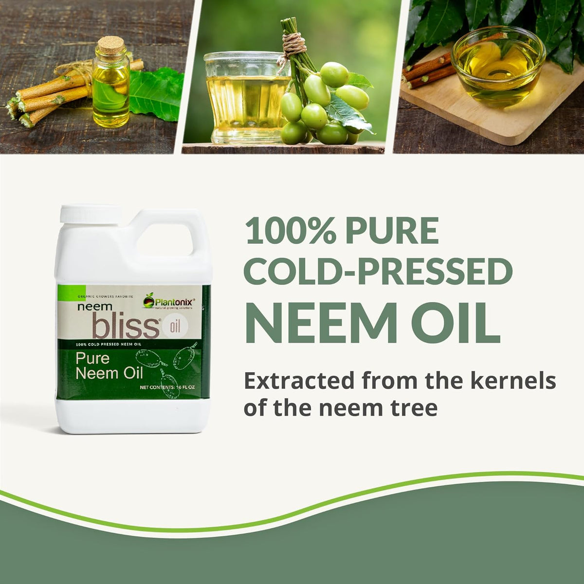 Neem Bliss (1 Gallon) - Pure Neem Oil Concentrate - 100% Cold Pressed Neem Oil - All-Natural Neem Oil Concentrate - Pure Neem Oil Extract - Unrefined Neem Oil for Hair - Neem Seed Oil Concentrate