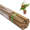 60 Pcs Bamboo Stakes, 6 Feet Natural Bamboo Garden Stakes for Plant, Garden Bamboo Plant Sticks for Plants Support, Tomato, Beans, Vegetable, Trees and Climbing Plants