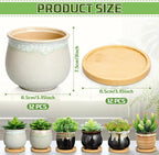 Remerry 12 Pcs Small Succulent Pots Bulk with Drainage Assorted 3.5 Inch Mini Ceramic Succulent Planters Pot with Coaster Bamboo Plant Tray Planting Pots for Home Office Garden
